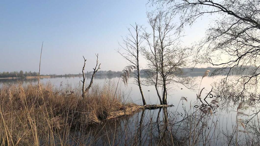winter vergezicht in 't Twiske
