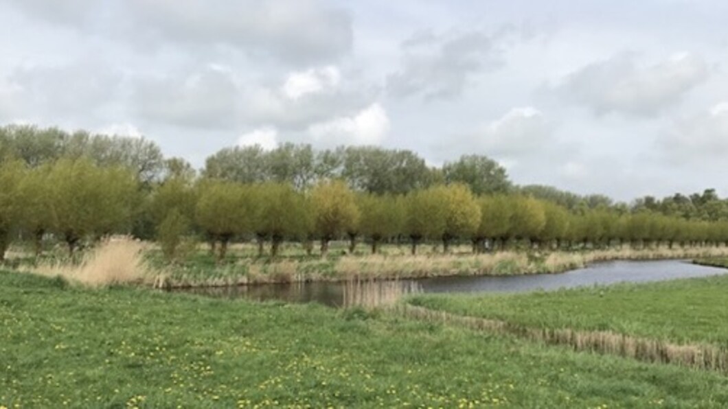 vergezicht Twiske in de lente