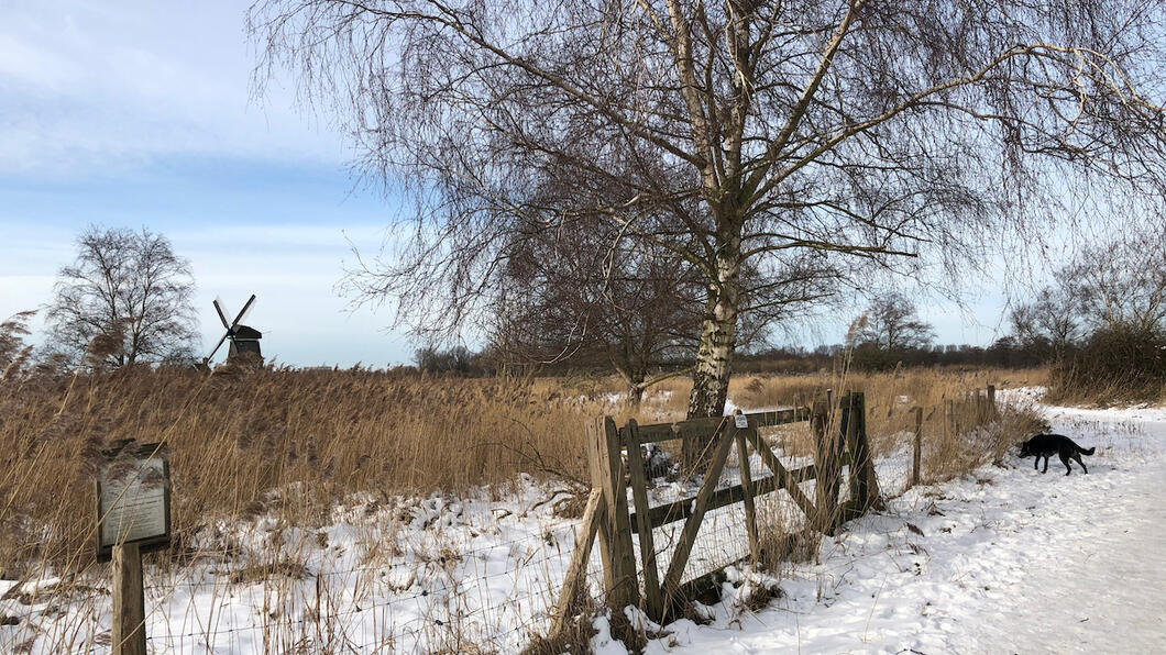 twice in de sneeuw