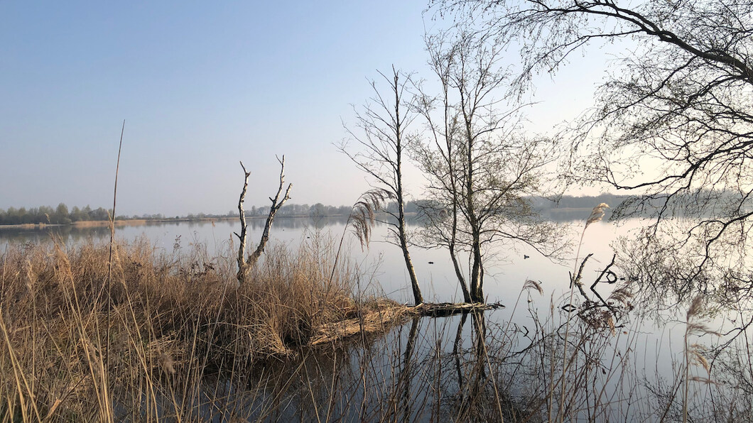 winteruitzicht over het water in Twiske