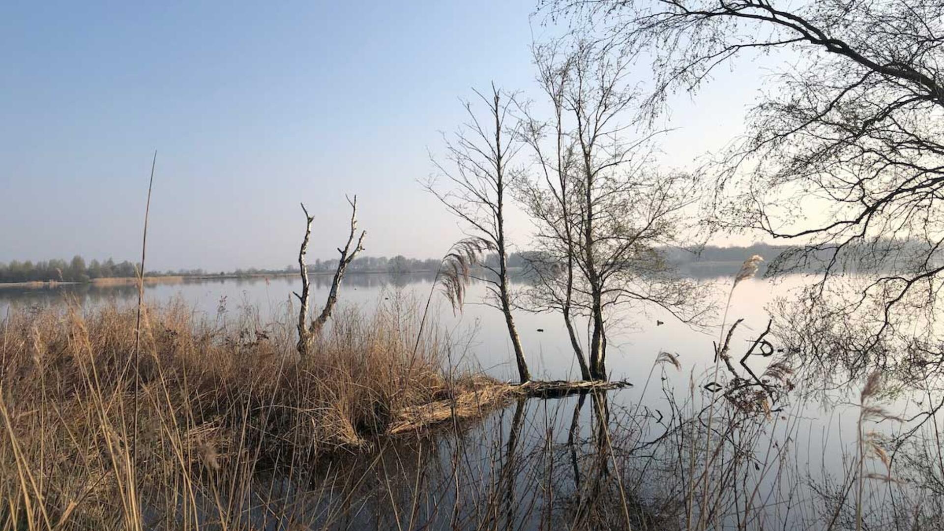 winter vergezicht in 't Twiske