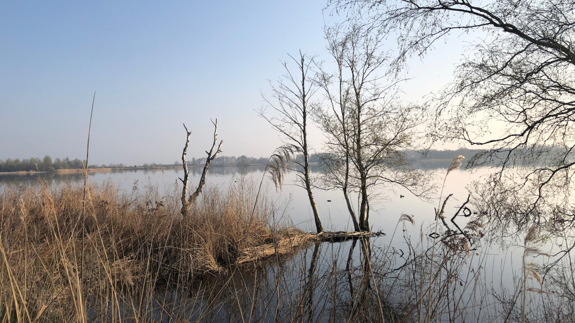 winteruitzicht over het water in Twiske