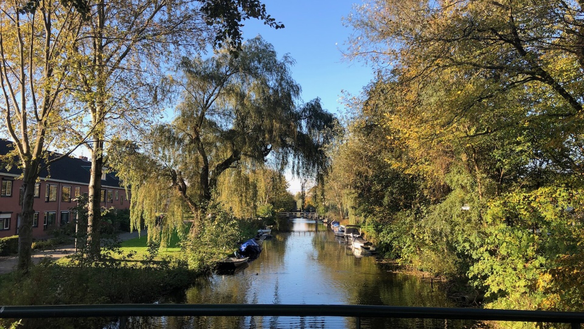 Uitzicht vanaf een brug over het water