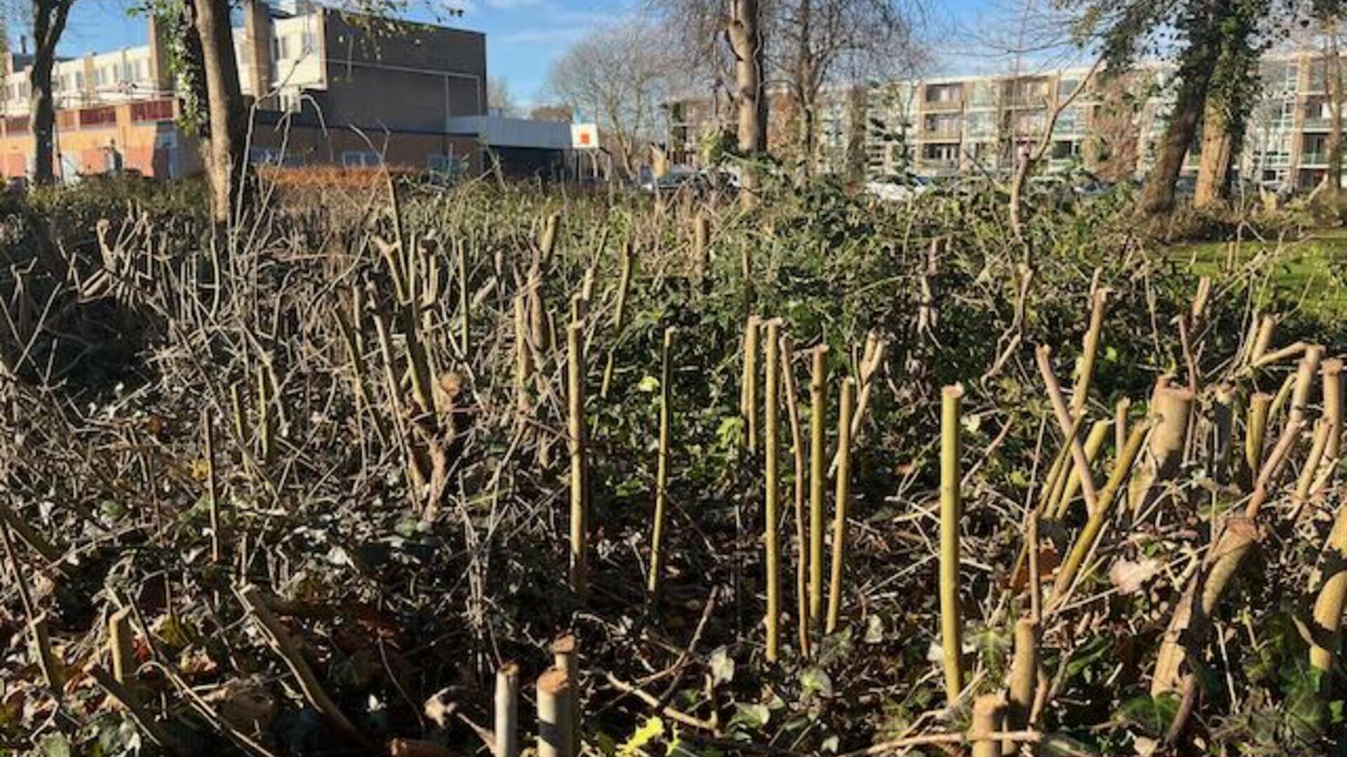 falend openbaar groenonderhoud in oostzaan